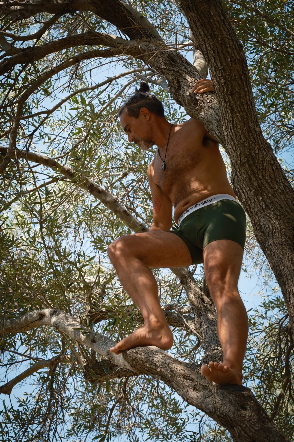 Traveller Trunk | Color: Danish Racing Green